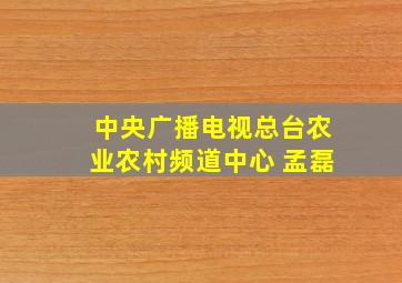 中央广播电视总台农业农村频道中心 孟磊